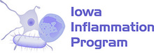 logo for the Iowa Inflammation Program